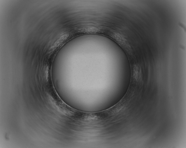 X0000101190206200807110953