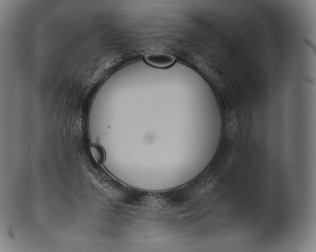 X0000101190207200807110953