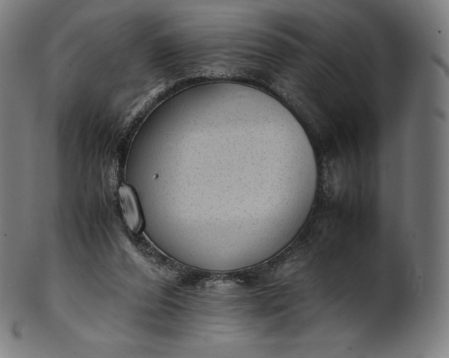 X0000101190208200807110953