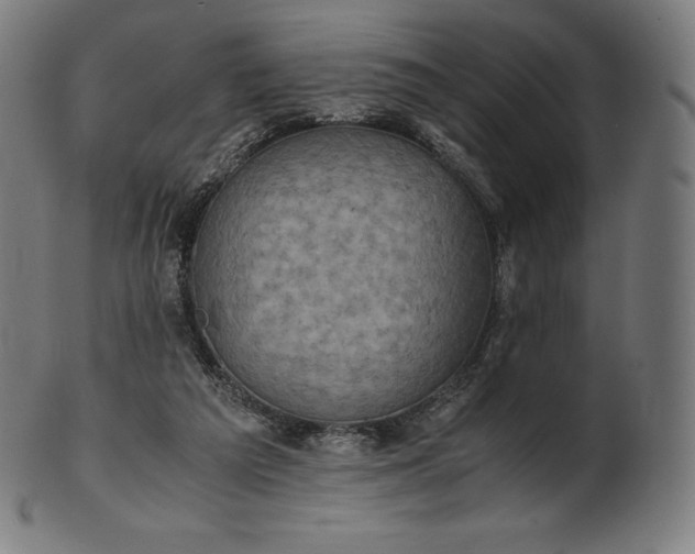 X0000101190209200807110953