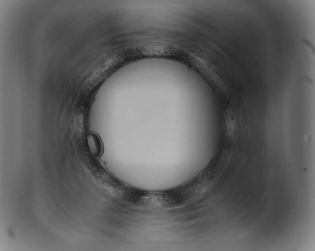 X0000101190211200807110953