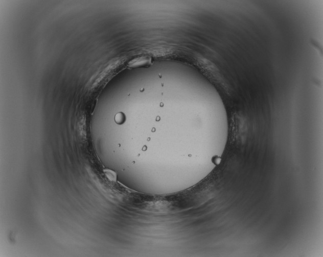 X0000101190212200807110953