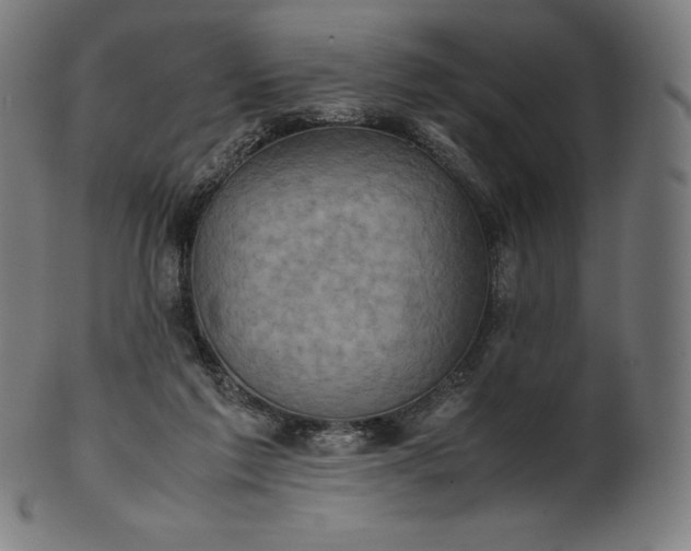 X0000101190213200807110953