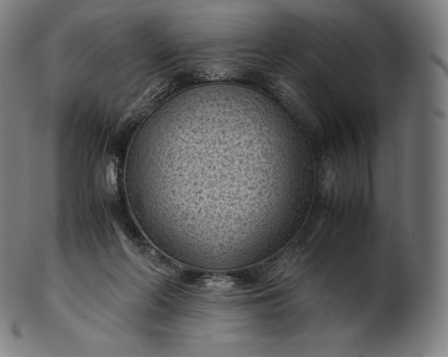 X0000101190214200807110953