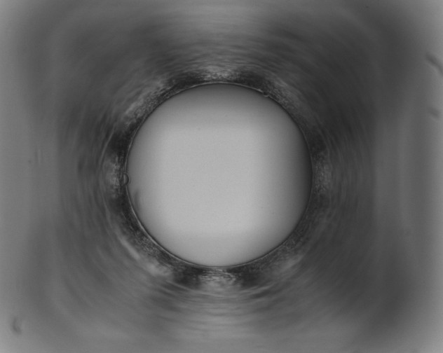 X0000101190215200807110953