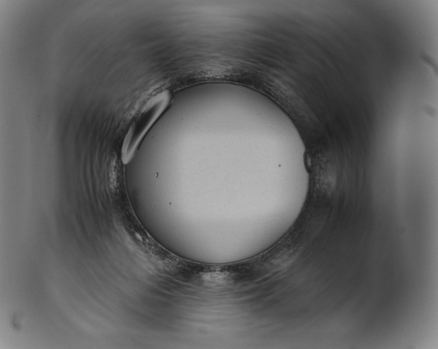 X0000101190216200807110953