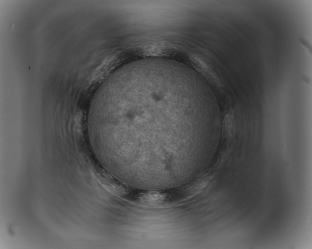 X0000101190217200807110953