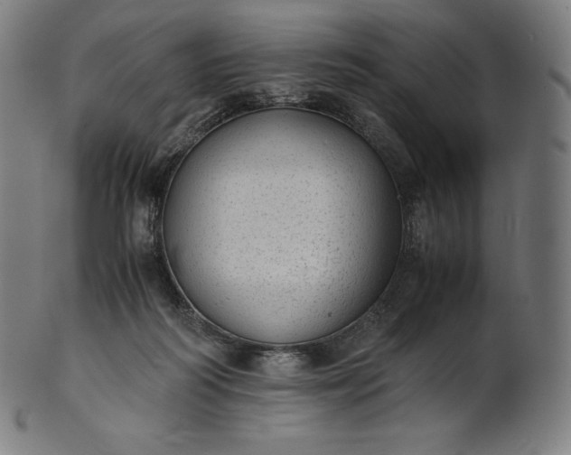 X0000101190218200807110953