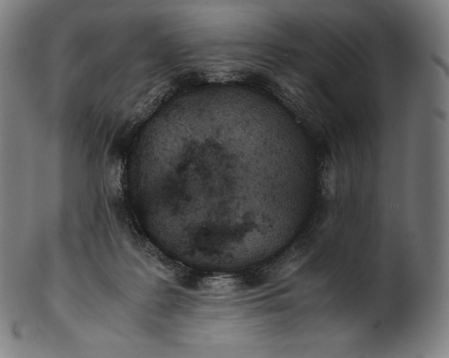 X0000101190219200807110953
