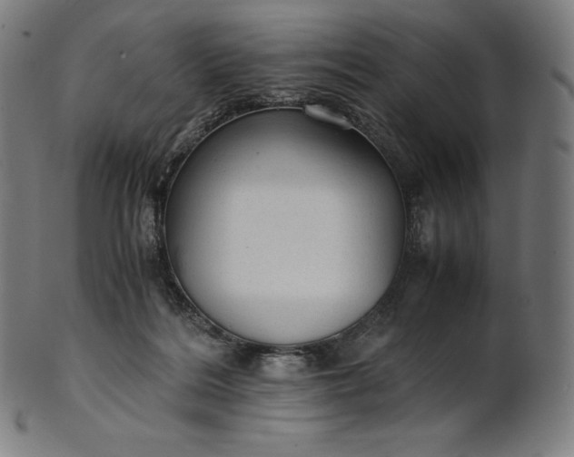 X0000101190220200807110953