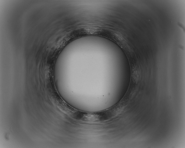 X0000101190221200807110953