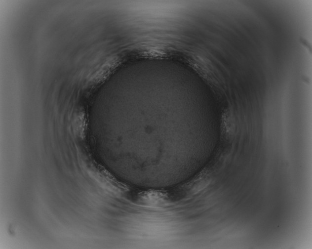 X0000101190223200807110953