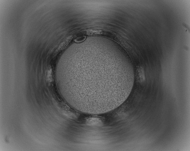 X0000101190224200807110953
