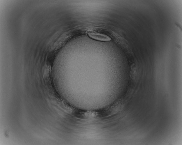 X0000101190225200807110953