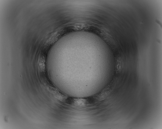 X0000101190226200807110953