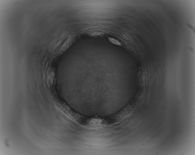 X0000101190227200807110953