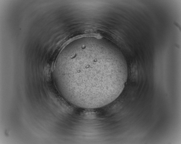 X0000101190228200807110953