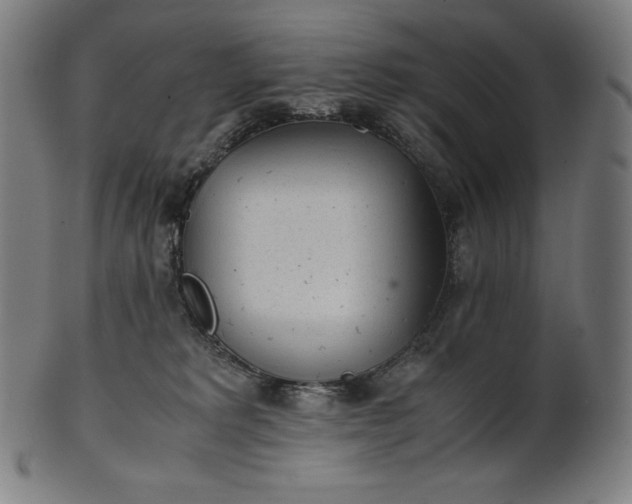 X0000101190229200807110953