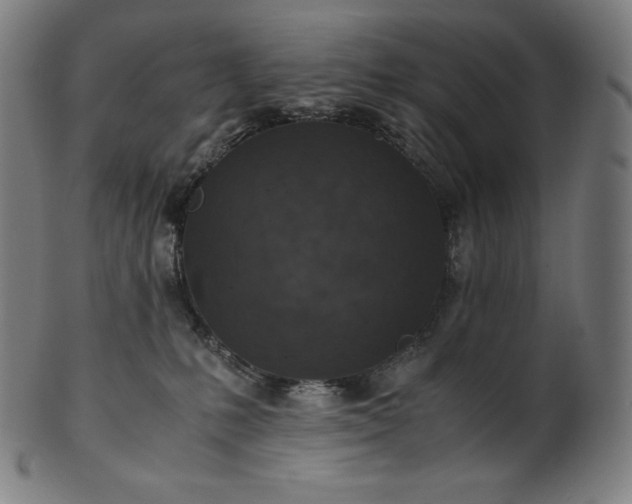 X0000101190231200807110952