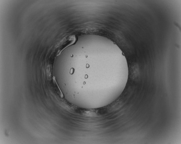 X0000101190232200807110952