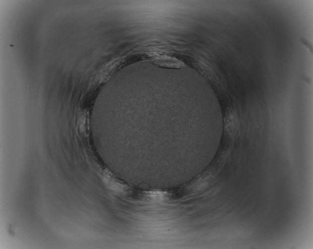 X0000101190233200807110952