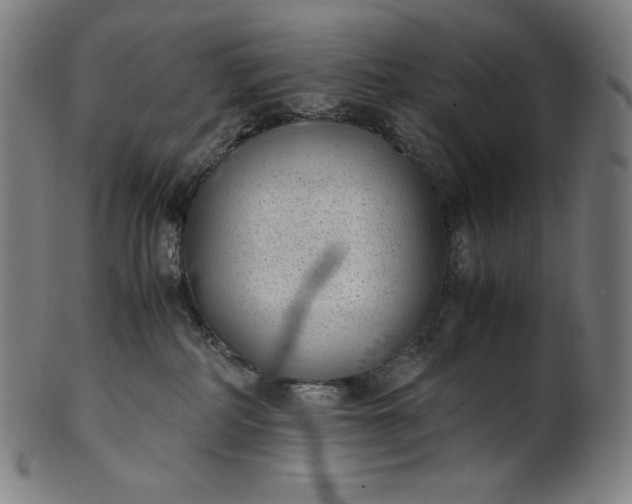 X0000101190234200807110952