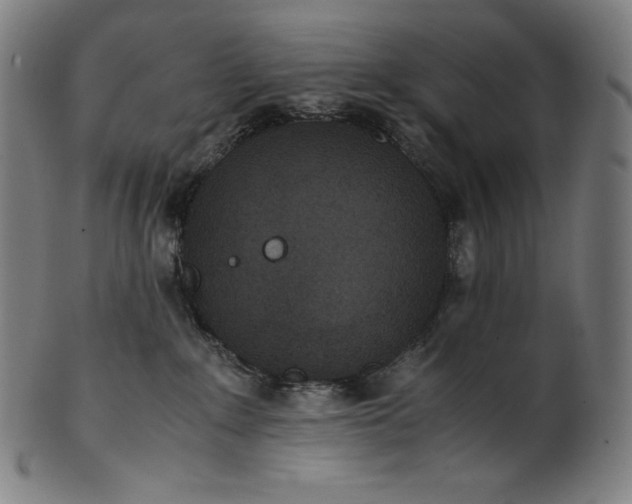 X0000101190235200807110952