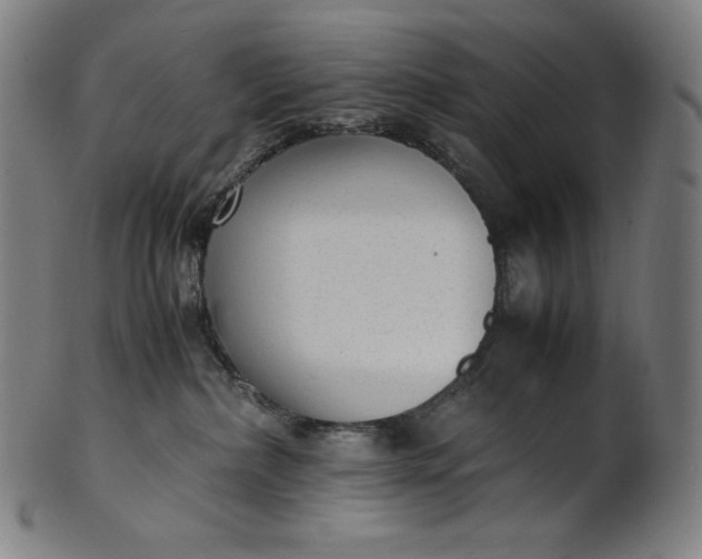 X0000101190236200807110952
