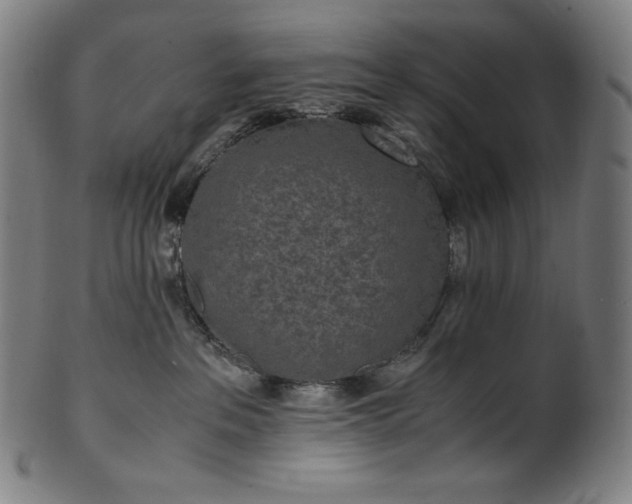 X0000101190237200807110952