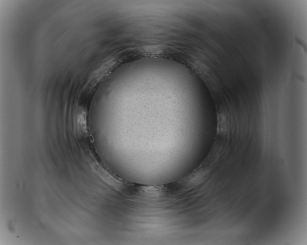 X0000101190238200807110952