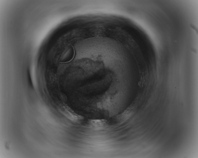 X0000101190239200807110952