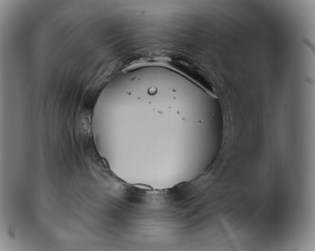 X0000101190240200807110952