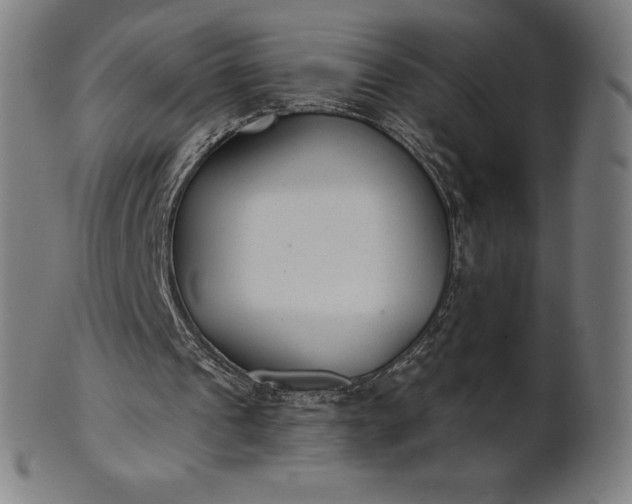 X0000101190241200807110951