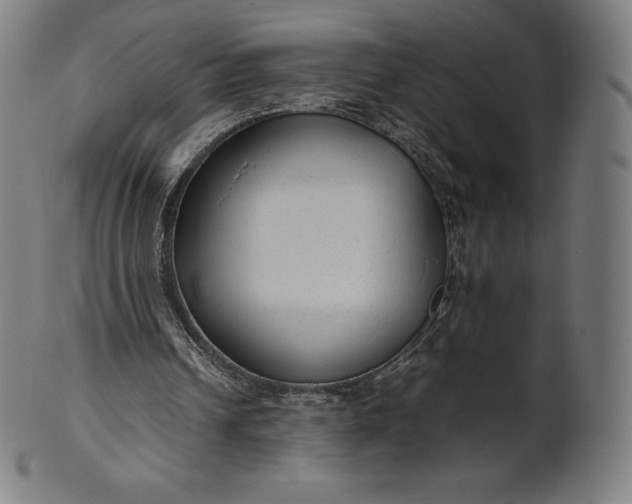 X0000101190242200807110951