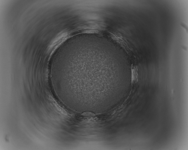 X0000101190243200807110951