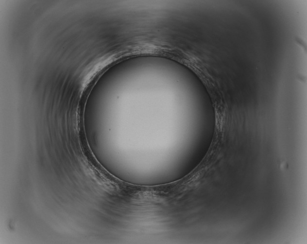 X0000101190244200807110951