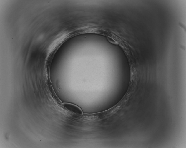 X0000101190245200807110951