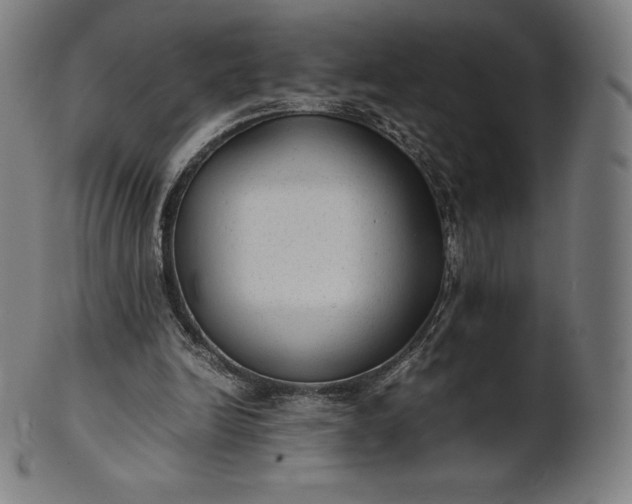 X0000101190246200807110951