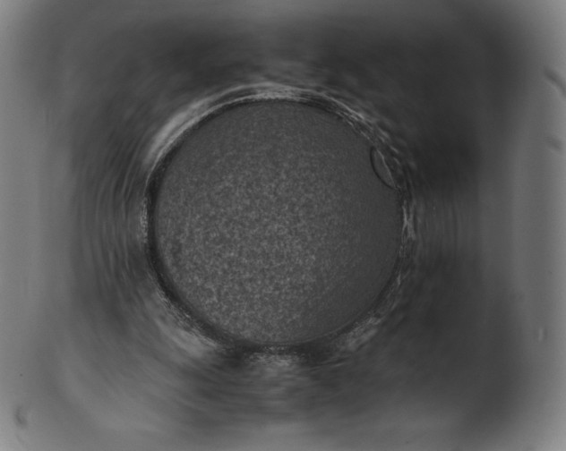 X0000101190247200807110951