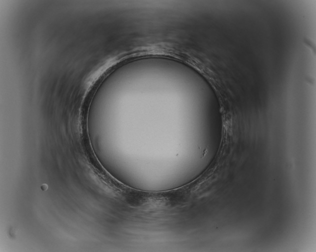 X0000101190248200807110951