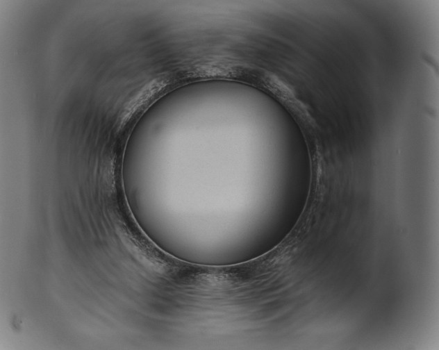 X0000101190250200807110951
