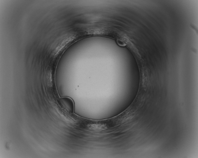 X0000101190251200807110951