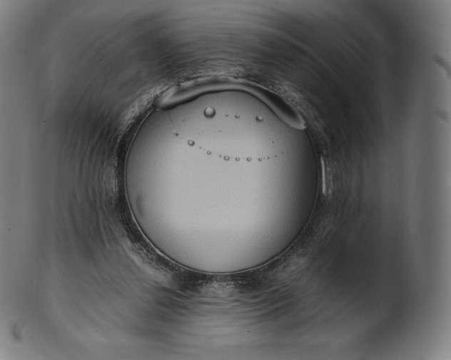 X0000101190252200807110951