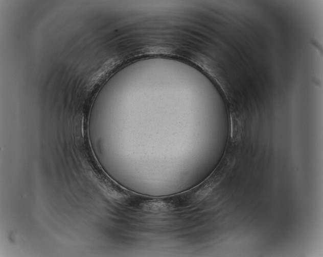 X0000101190253200807110952