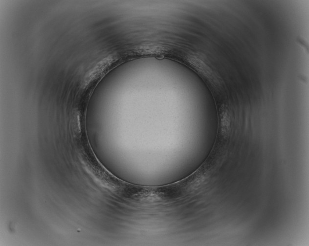 X0000101190254200807110952