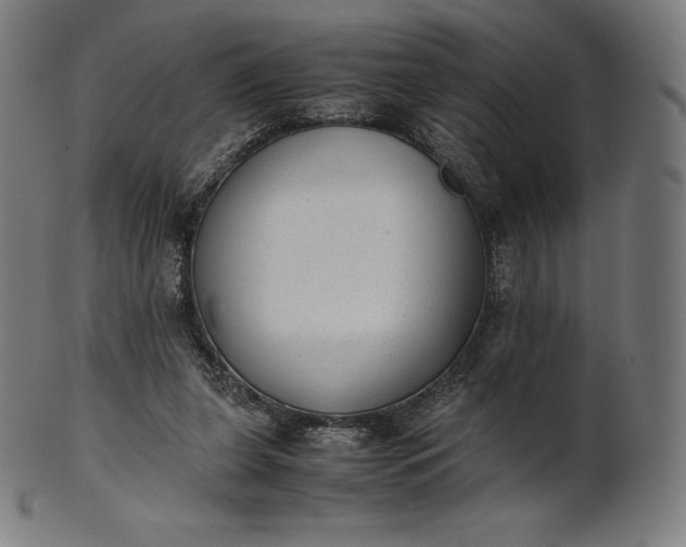 X0000101190255200807110952
