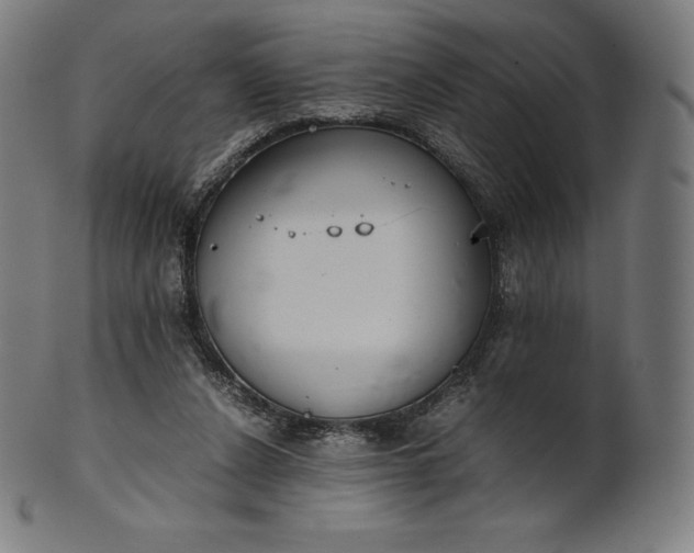 X0000101190256200807110952