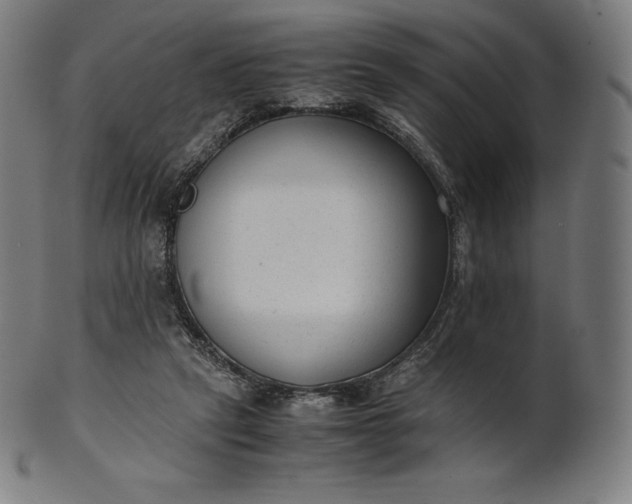 X0000101190257200807110952
