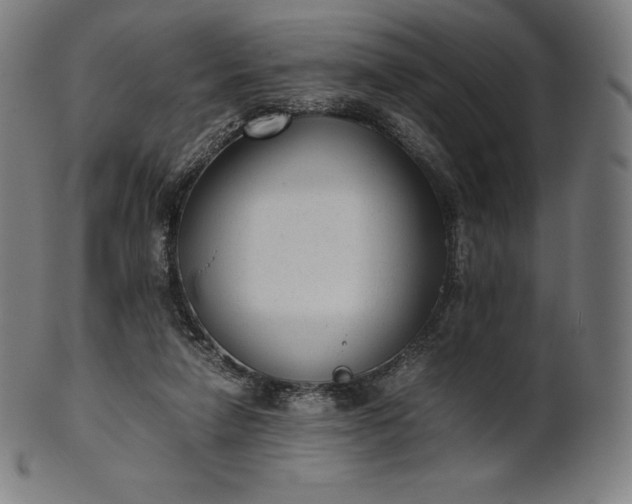 X0000101190258200807110952