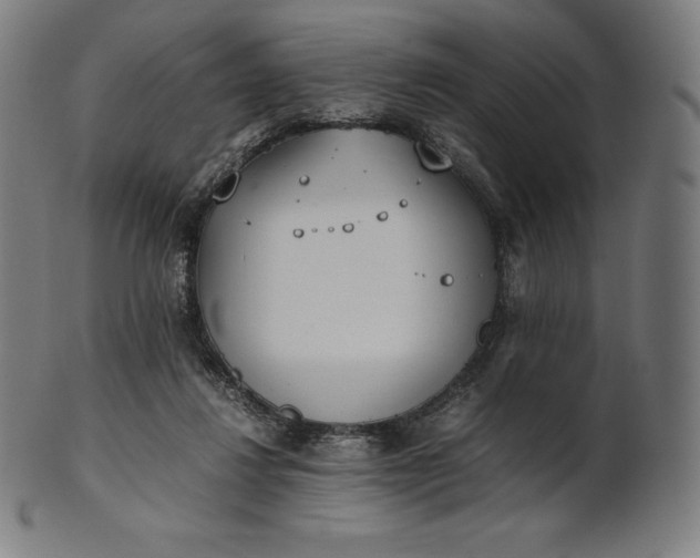 X0000101190260200807110952